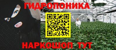 прущий лед Гатчина